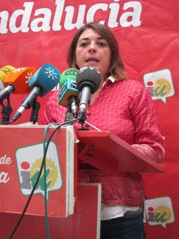 La portavoz adjunta de IU en el Parlamento andaluz, Elena Cortés