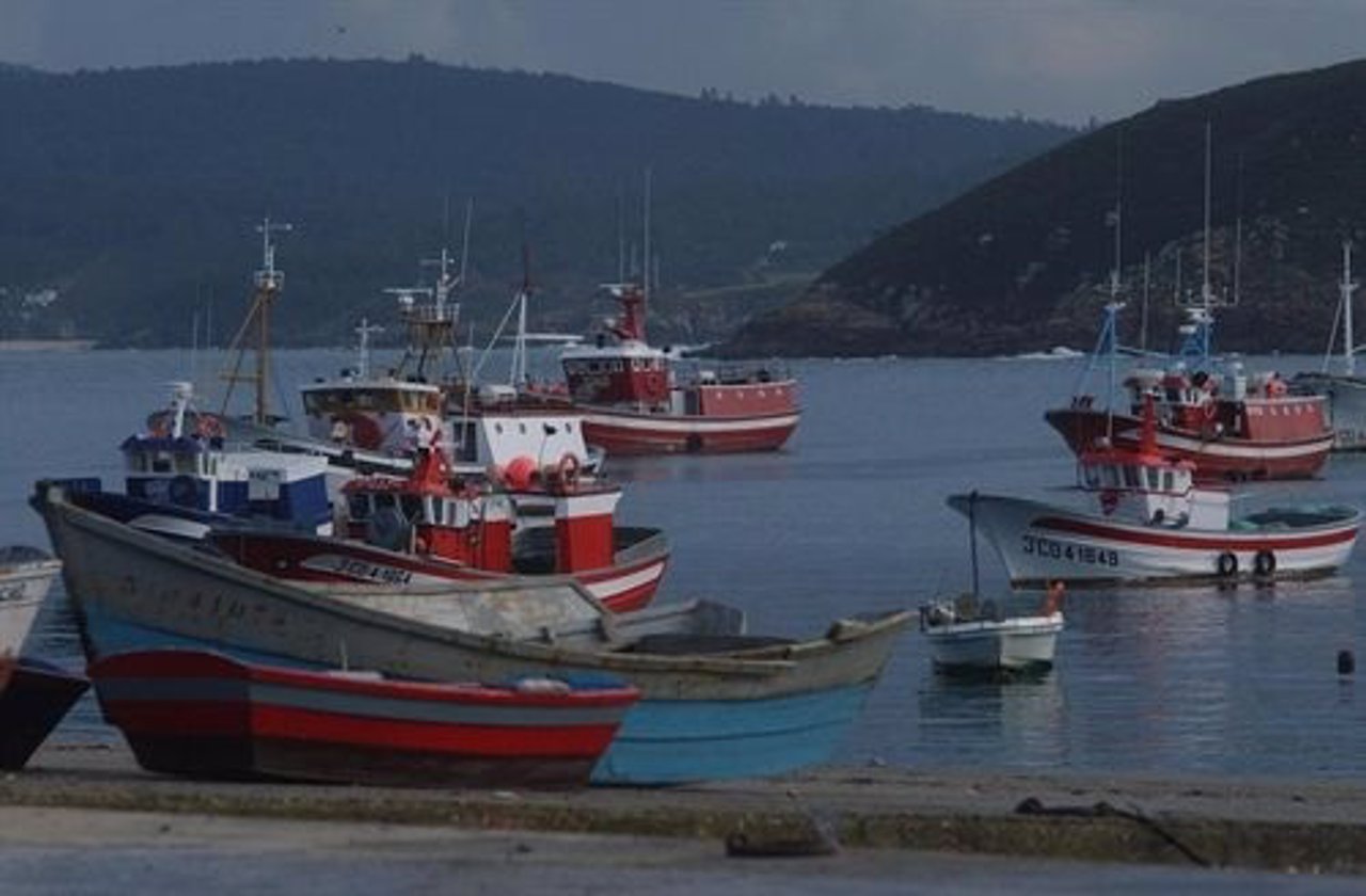 Barcos De Pesca