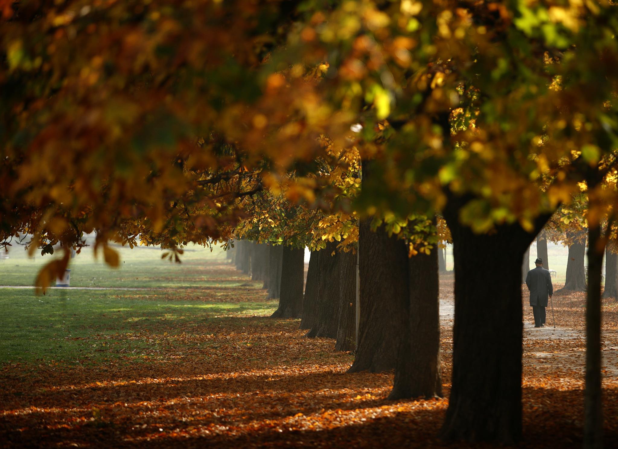 Pendiente Correlación Fatídico Las mejores imágenes del otoño alrededor del mundo