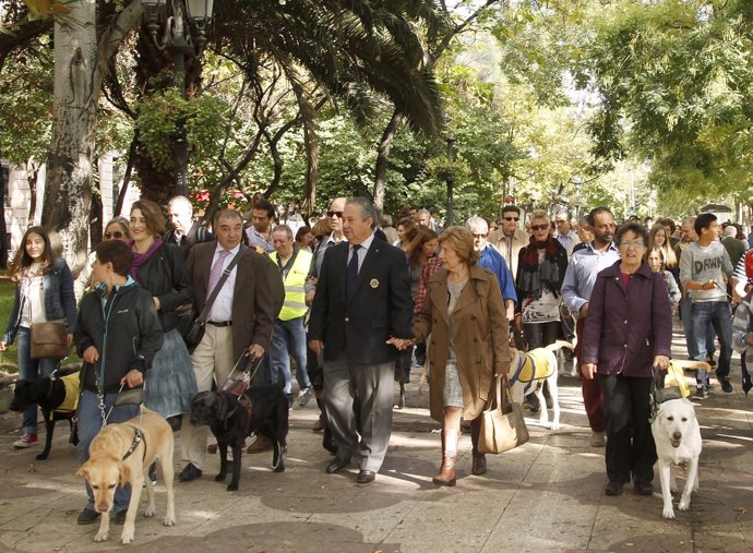 Manifestación de usuarios de perros guía en Madrid