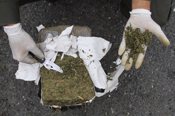 Alijo de marihuana confiscada por oficial colombiano
