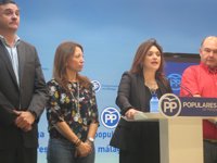 El PP echa en falta infraestructuras "prioritarias" para la provincia en los presupuestos de la Junta para 2016
