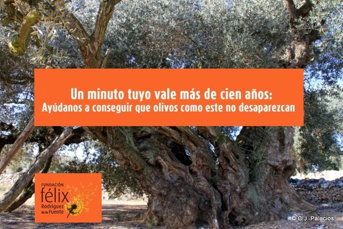 Imagen de la campaña para salvar los árboles viejos