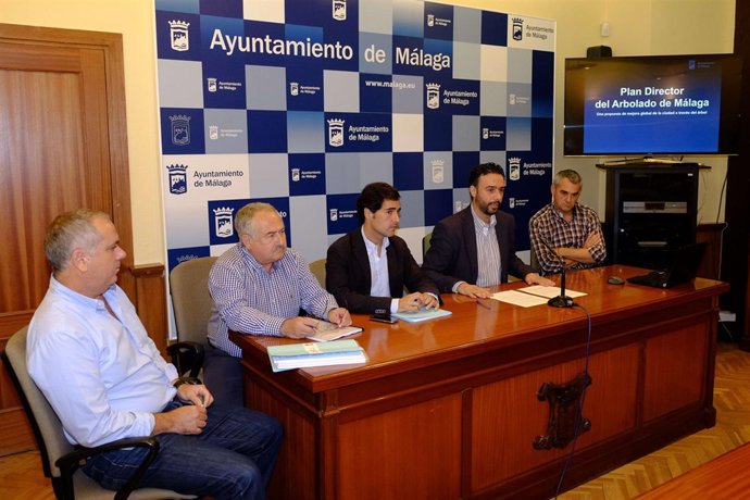 Arbolado plan director gestión málaga ambiental