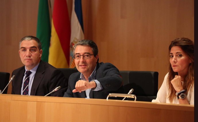 Pleno de la Diputación de Málaga del 19 de octubre de 2015