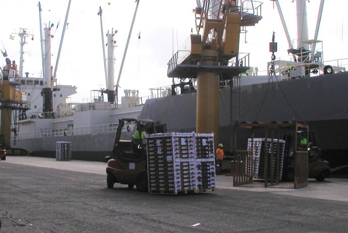 Exportación de tomate canario