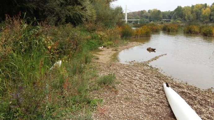 Imagen de suciedad junto al embarcadero