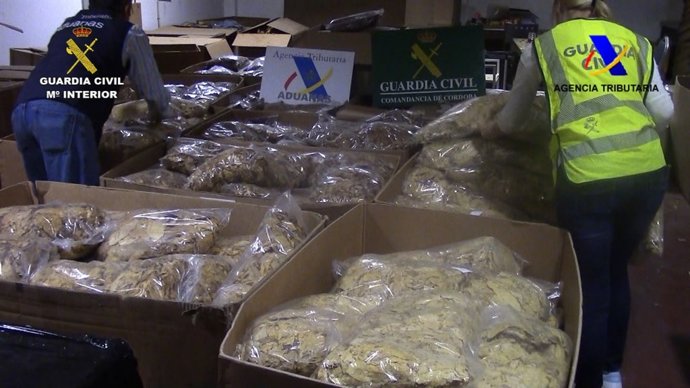 Vídeo de la noticia