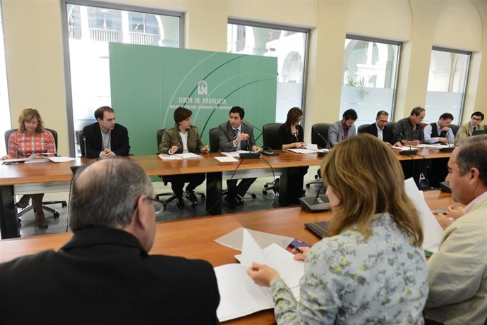 Comisión de Urbanismo celebrada en Granada este miércoles.