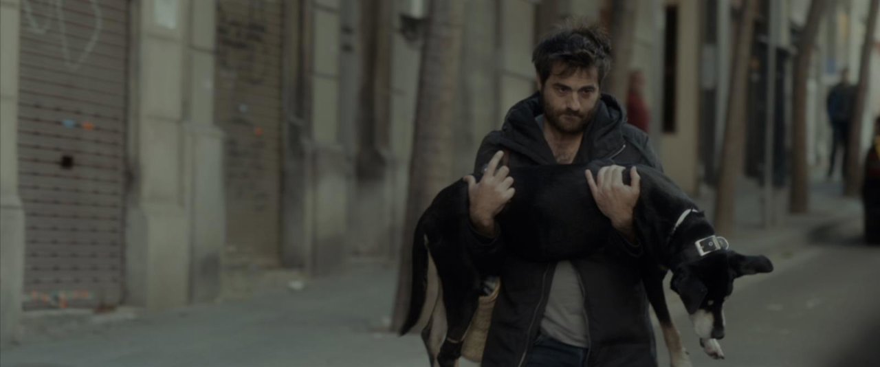 SEFF organiza el seminario 'Otras narrativas de resistencia'