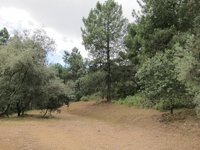 Medio Ambiente prepara el Parque de Los Villares para los peroles de San Rafael