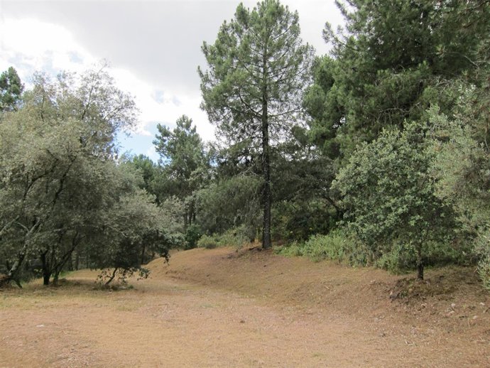 Paraje del Parque Periurbano de Los Villares