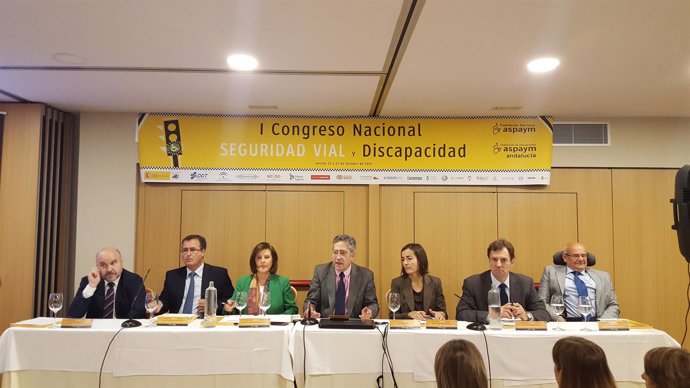 Sánchez Rubio en el congreso nacional de seguridad vial