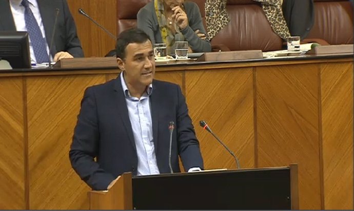 El parlamentario de C's Carlos Hernández interviene ante el Pleno