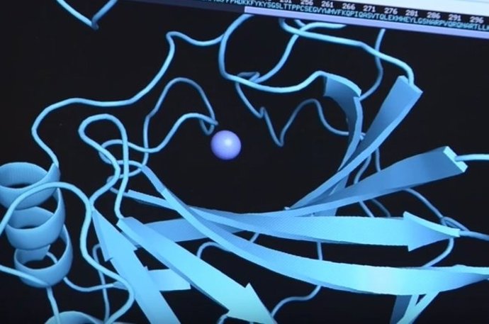 Bacteria que neutraliza CO2