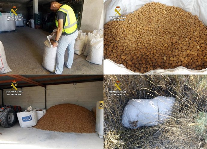 Imagen de la almendra recuperada