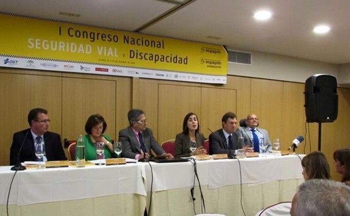 Congreso de Seguridad Vial y Discapacidad