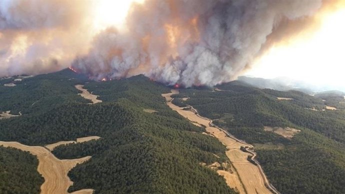 El incendio forestal en Cinco Villas afectó a 7.H52 hectáreas