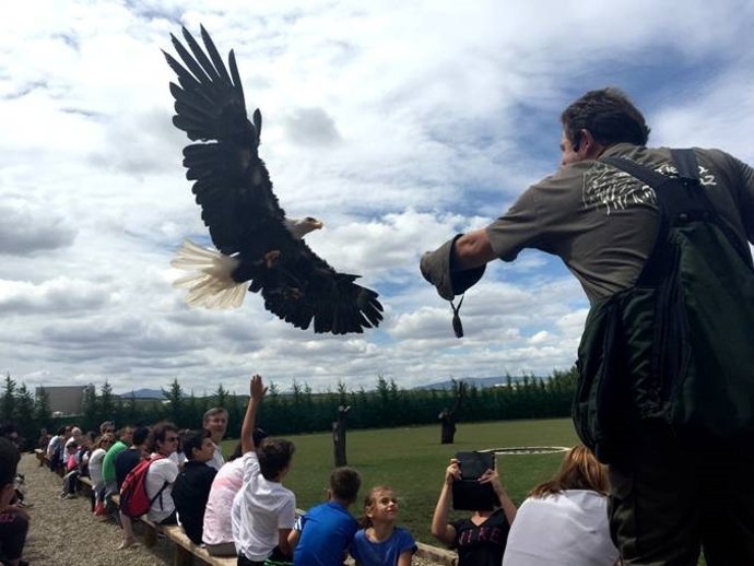 Tierra Rapaz cerrará sus puertas el 8 de noviembre
