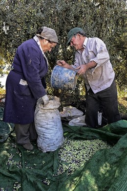 Una de las fotografías del III Concurso Fot-Oleo