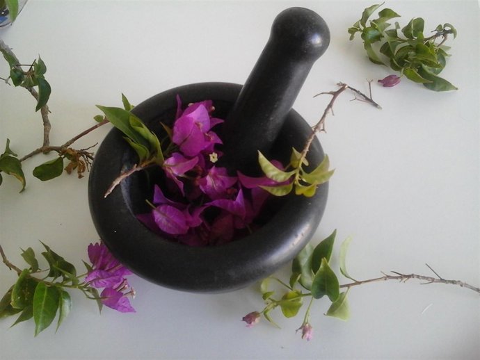 Investigadores de la UAL utilizan hojas de buganvilla como colorante