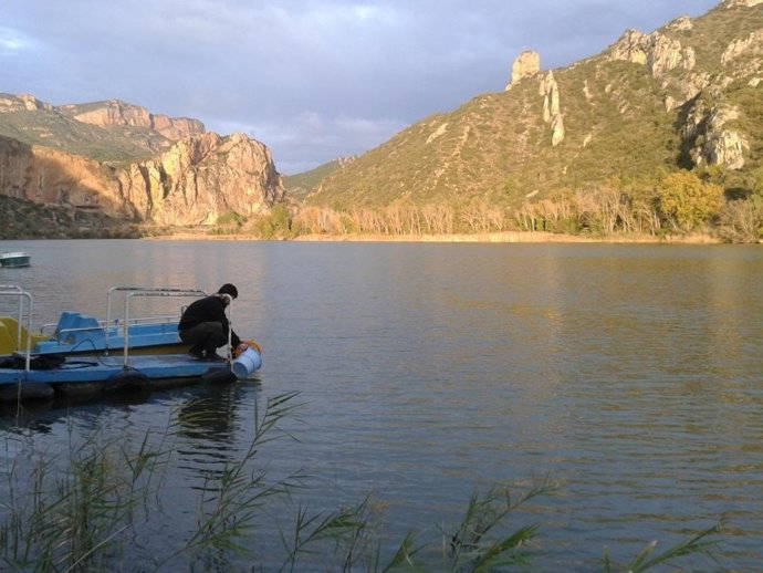 Muestreo de embalses de la CHE