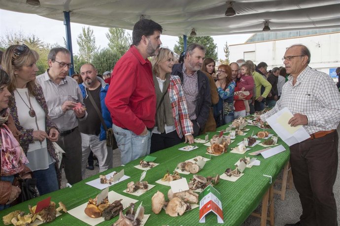 Exposición de setas en Cros