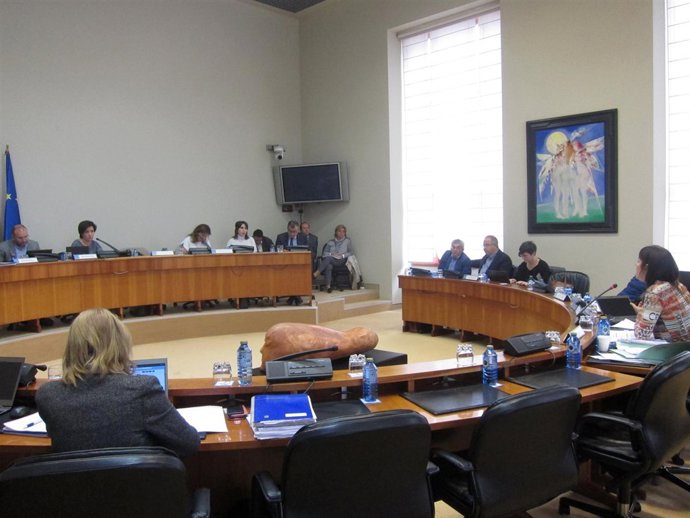 Beatriz Mato En Comparecencia De Presupuestos