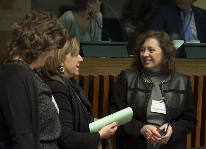 La consejera, momentos antes de iniciarse la reunión. 