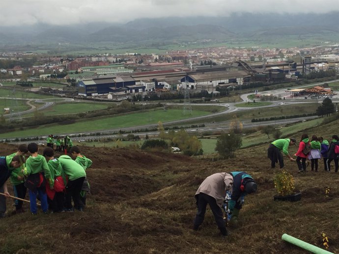 Plantación de árboles en las inmediaciones de Gerdau 