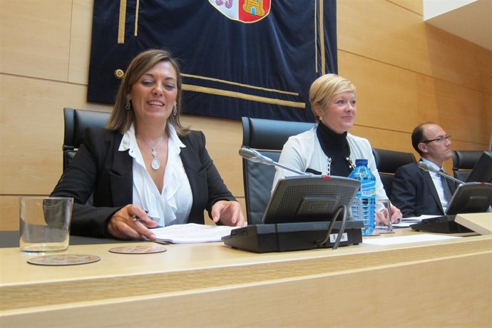 Milagros Marcos en las Cortes