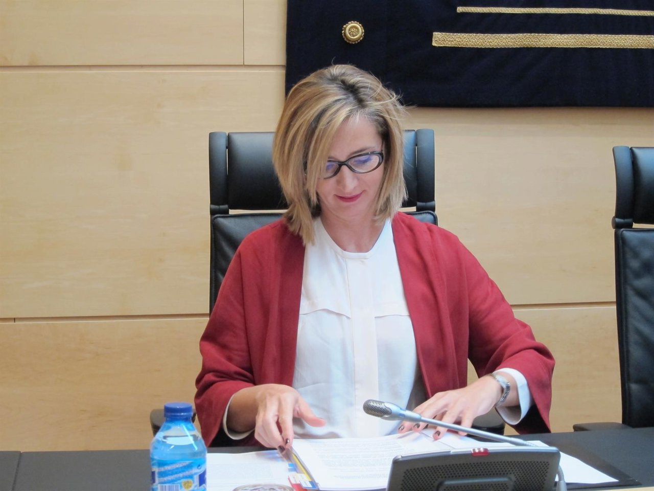 Alicia García durante su comparecencia en las Cortes