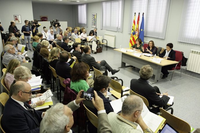 Mayte Pérez ante el Consejo Escolar de Aragón