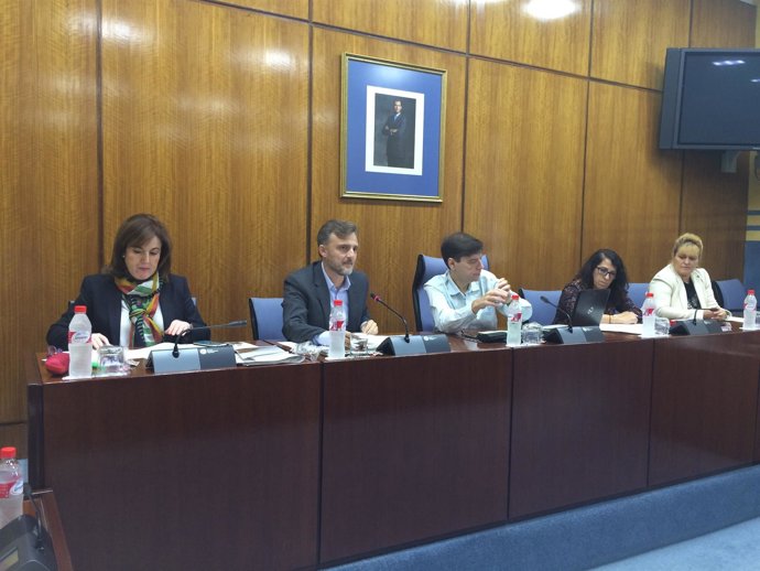 Presidencia de la Comisión de Medio Ambiente del Parlamento andaluz