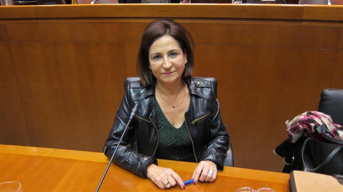 Directora general de Igualdad y Familias de Aragón, Teresa Sevillano