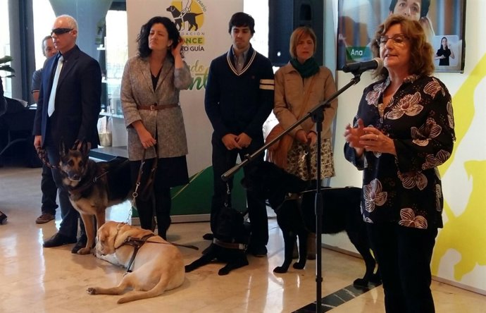 Broto en el 25 aniversario de la Fundación ONCE del Perro Guía