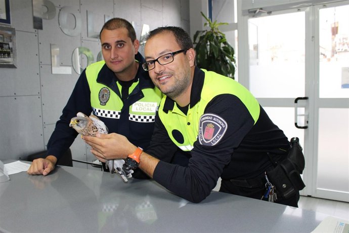 Imagen de los agentes con el cernícalo herido