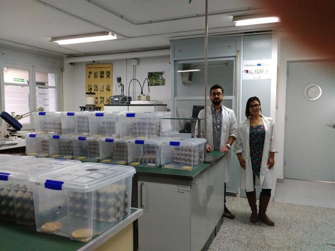 El investigador de la UdL Diego Cruz y la asistente de investigación Y. Serrato