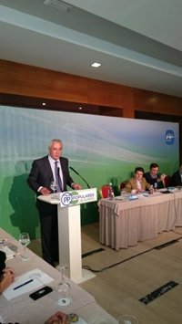 Arenas ve un "disparate" plantear una reforma constitucional