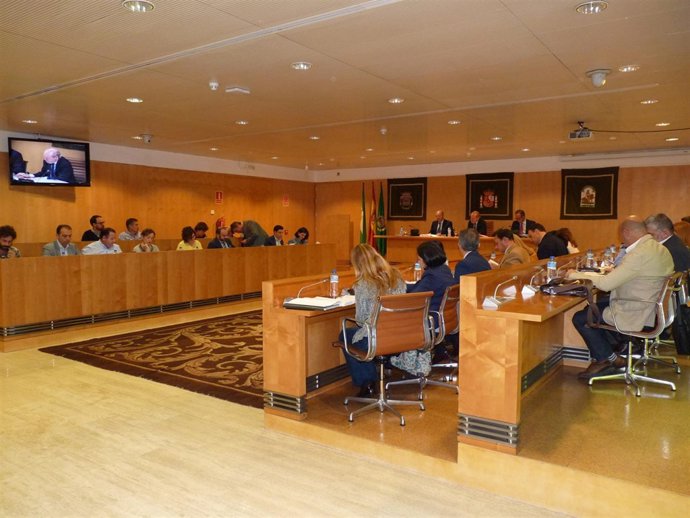 Pleno de la Diputación de Sevilla