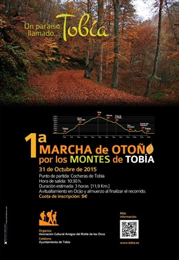 1ª MARCHA DE OTOÑO POR LOS MONTES DE TOBÍA
