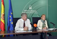 Junta ve "insuficiente" la nueva planificación eléctrica del Gobierno que destina 73 millones menos a Sevilla