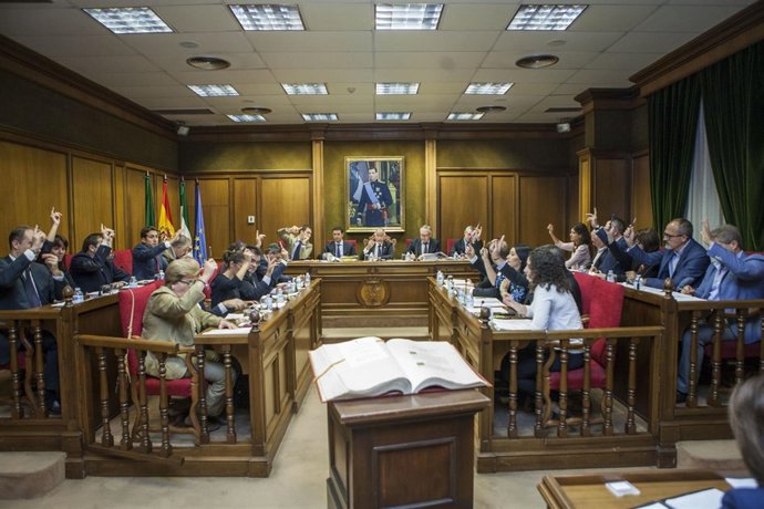Pleno en la Diputación Provincial de Almería