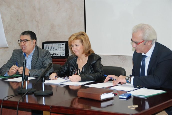 Consejo Provincial de la Discapacidad presidido por Teresa Vega