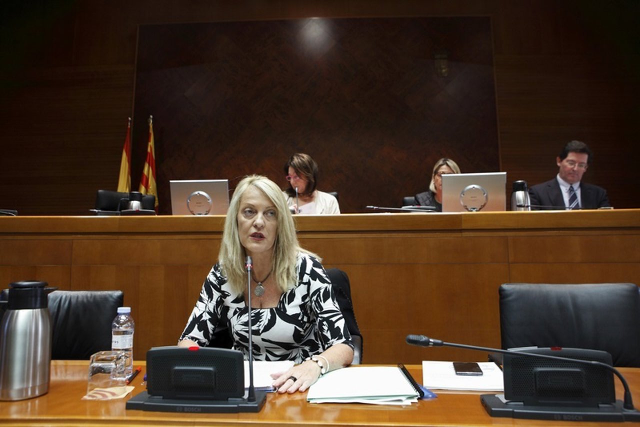 Rosa María Cihuelo comparece en la Comisión de Sanidad de las Cortes.