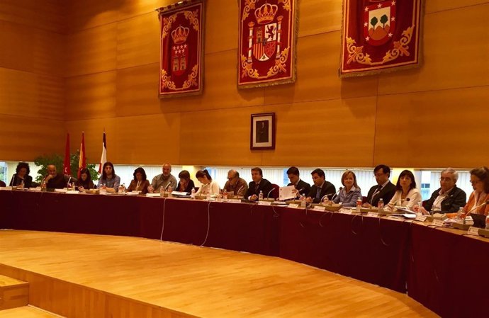 Pleno de Tres Cantos