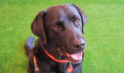 Cooperación y Desarrollo