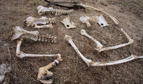 Cooperación y Desarrollo