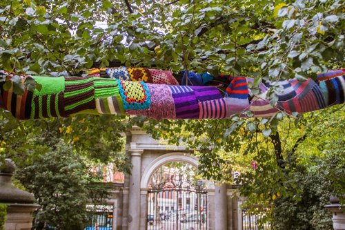 El Real Jardín Botánico de Madrid abriga con lana 'solidaria' uno de sus olmos 