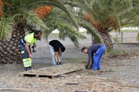 Motril comienza a arreglar los destrozos del temporal en las playas y solicita reunión con Costas